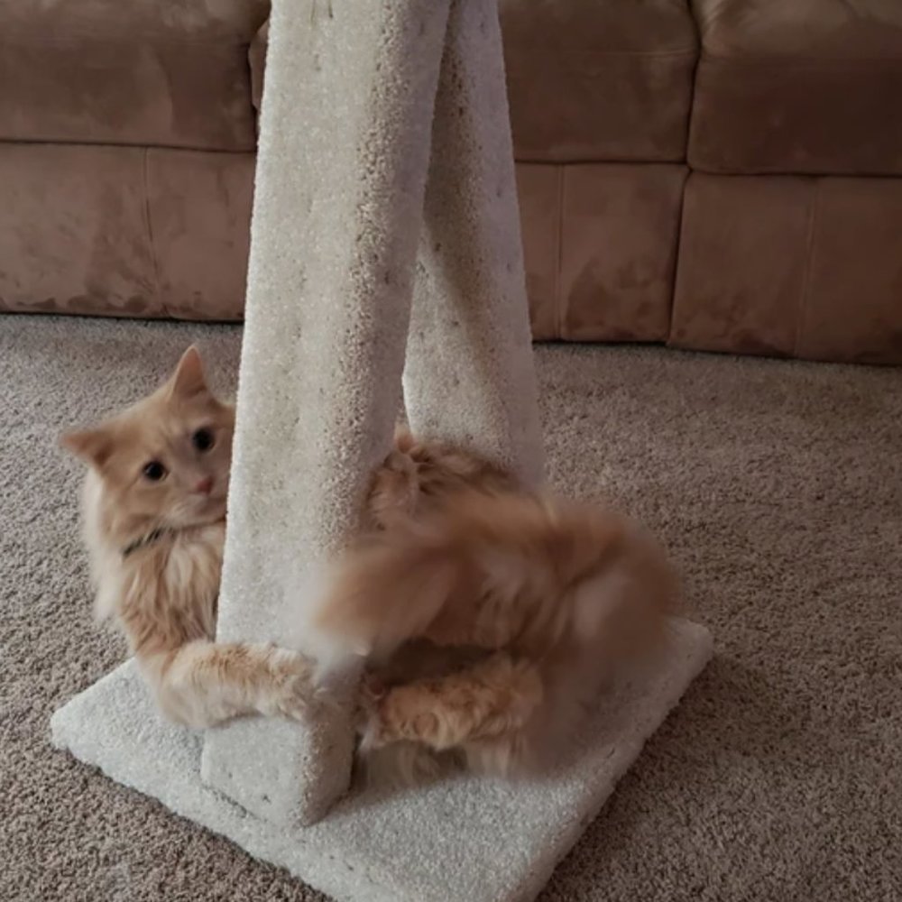 COPY - New A-Frame Cat Scratching Post - Picture 2 of 10